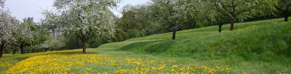 Ackerterrassen Muelershus