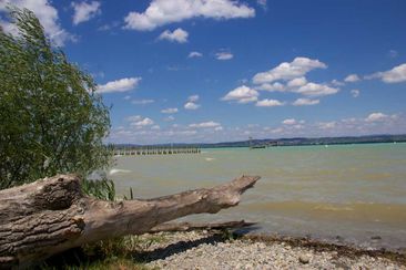 Bodensee-Ufer