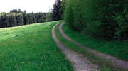 Unbefestigter Weg