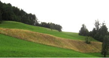 Steile Böschung