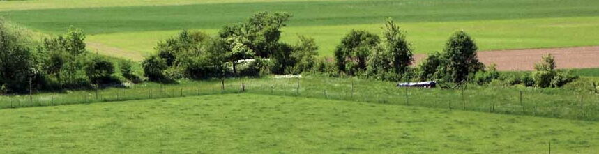 Hecke an Bachlauf