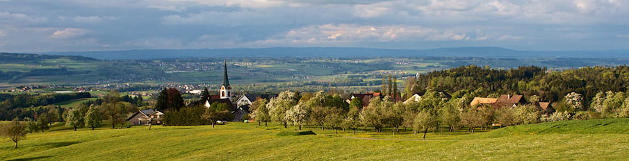 Welfensberg Panorama