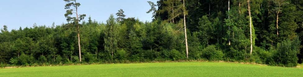 Waldrand