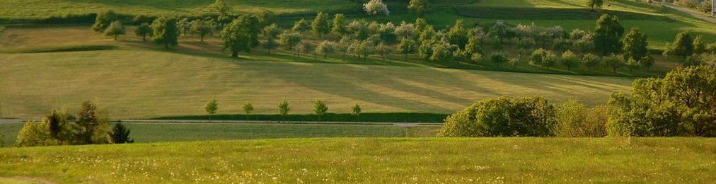 Strukturreiche Landschaft