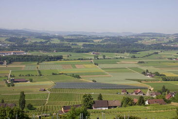 Kulturlandschaft Felder