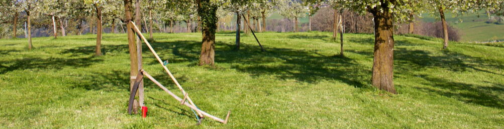 Obstgarten mit Sense