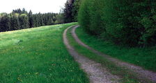 Unbefestigter Weg