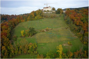 Landschaftsraum 2