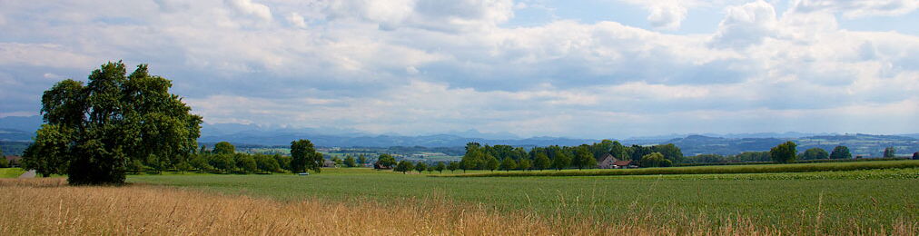 Panorama offene Landschaft mit Bäumen