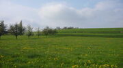 Ackerterrassen Bissegg