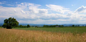 Landschaft Oberthurgau