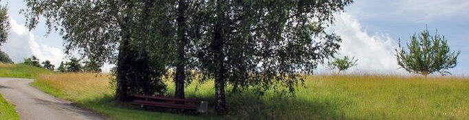 Baumgruppe