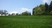 Ackerterrassen Buech