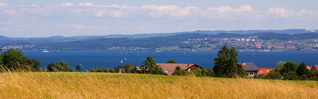 Panorama Bodensee